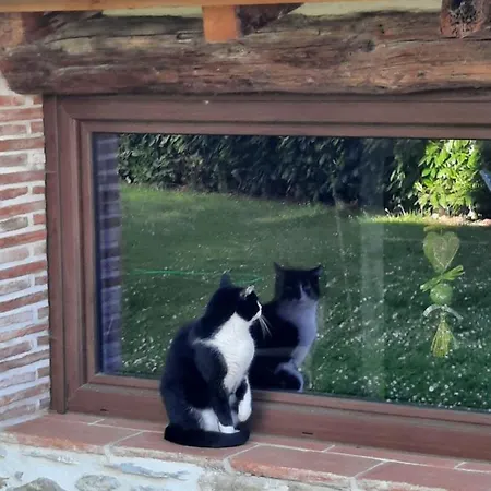 Holiday home Ca' Delle Sore