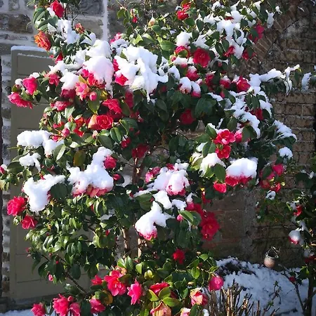 Ca' Delle Sore Holiday home