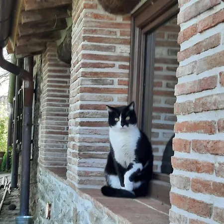 Ca' Delle Sore * أريتسو